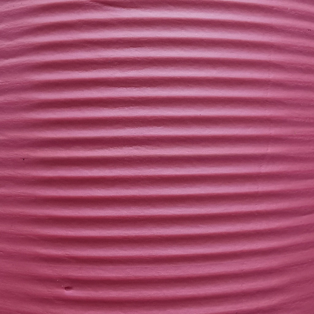 NPRO Sport Accessories Lightweight Yoga Mat - Boo & Bub