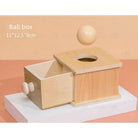 Montessori Toys Ball Box,Coin Box,Object Permanence Box Toys for Infant Toddlers 6-24 Month Baby Early Educati - Boo & Bub