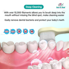 Cartoon Kid Toothbrush | Baby Cleaning Teether Dental Oral Hygiene Care Anti Slide Handle Tooth Brush - Boo & Bub