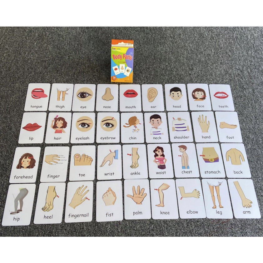 36pcs Double Side Big Flash Cards | Baby Children Cognition Body Parts Animal Fruits Flashcards Montessori - Boo & Bub