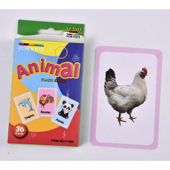 36pcs Double Side Big Flash Cards | Baby Children Cognition Body Parts Animal Fruits Flashcards Montessori - Boo & Bub