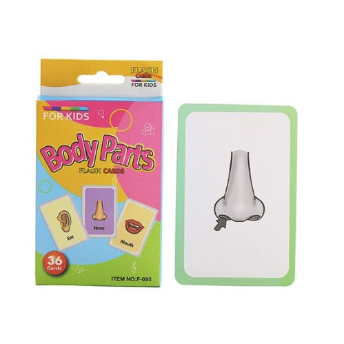 36pcs Double Side Big Flash Cards | Baby Children Cognition Body Parts Animal Fruits Flashcards Montessori - Boo & Bub