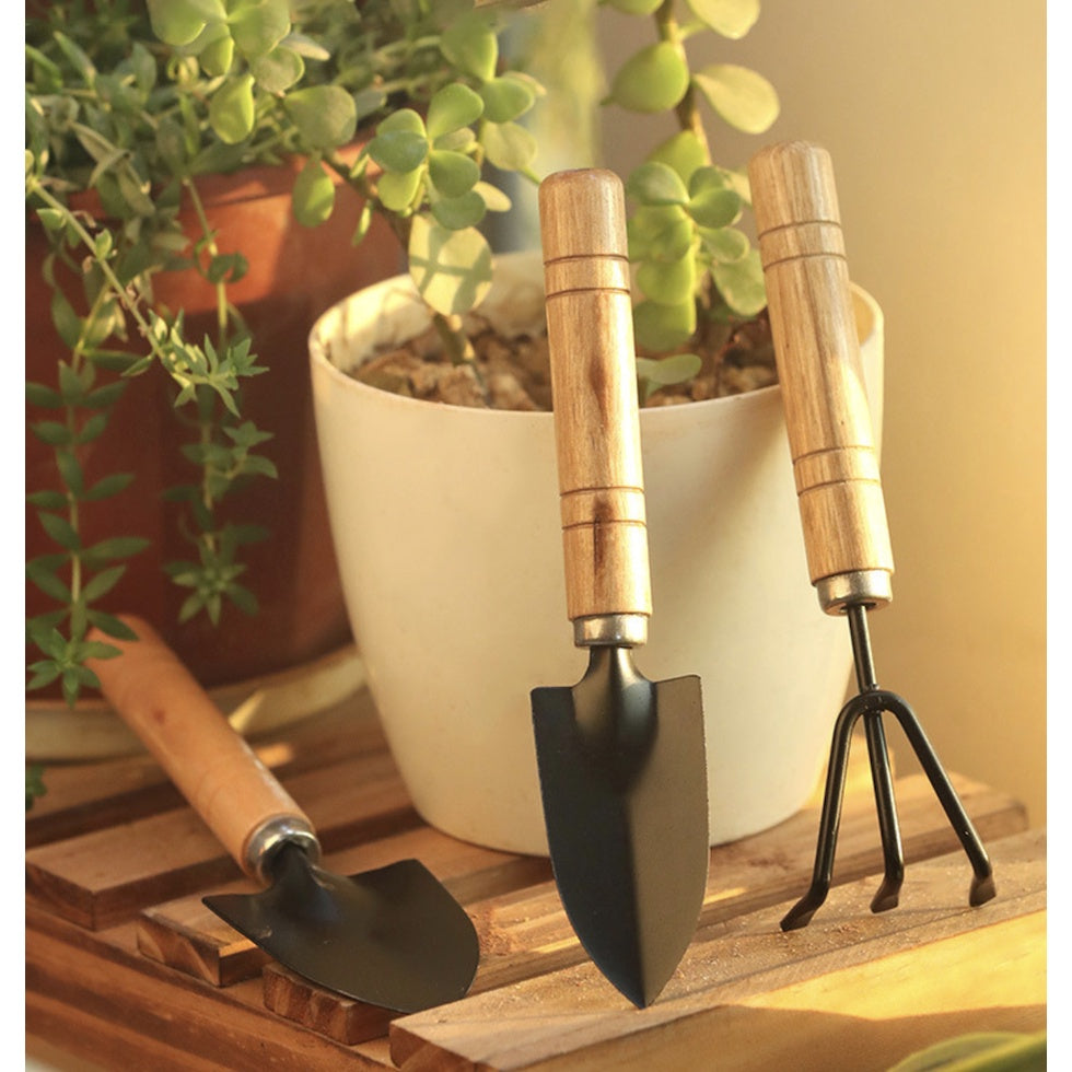 3 PCS  Mini Garden Tools |Small Multifunction Shovel Rake Spade with Nonslip Wooden Handle Household Potted Flower - Boo & Bub