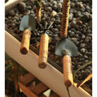 3 PCS  Mini Garden Tools |Small Multifunction Shovel Rake Spade with Nonslip Wooden Handle Household Potted Flower - Boo & Bub